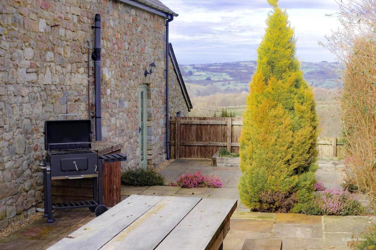Rhiwddu Barns Villa Llangadog Eksteriør billede